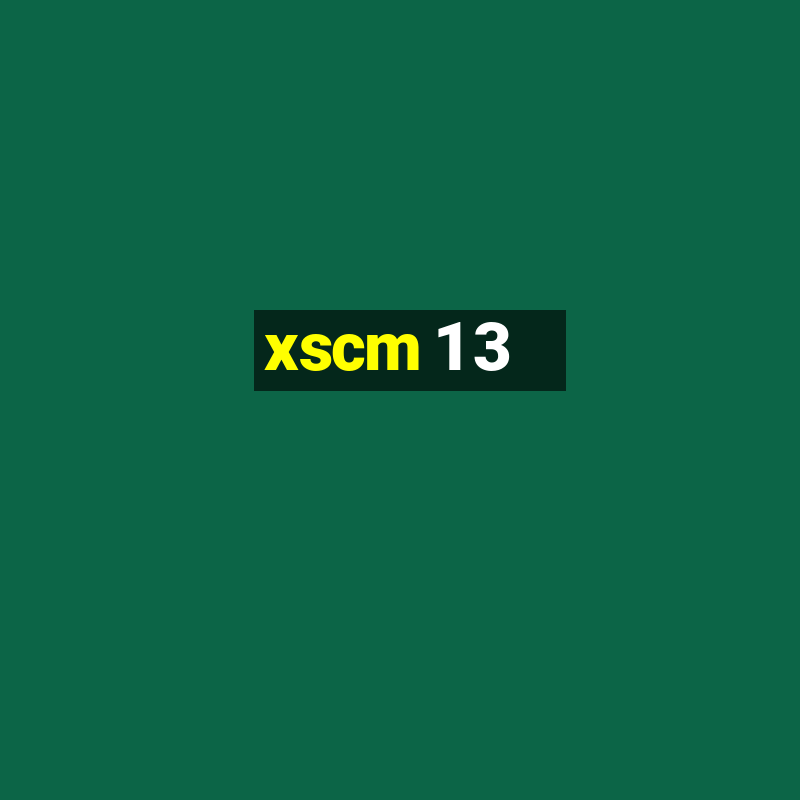 xscm 1 3