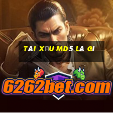 tài xỉu md5 là gì