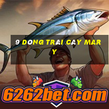 9 dòng trái cây Mary