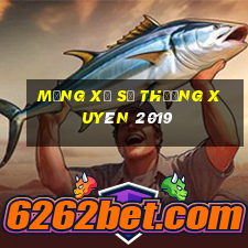 Mạng xổ số thường xuyên 2019