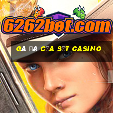 gà đá cựa sắt casino