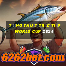 tường thuật trực tiếp world cup 2024