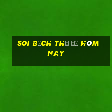 soi bạch thủ đề hôm nay