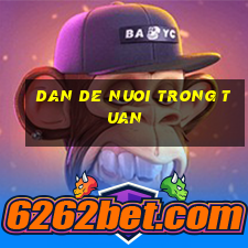 dan de nuoi trong tuan