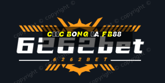 cược bóng đá fb88