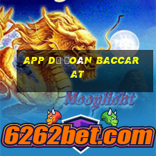 app dự đoán baccarat