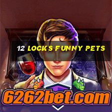 12 locks funny pets