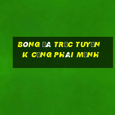 bóng đá trực tuyến k cộng phái mạnh