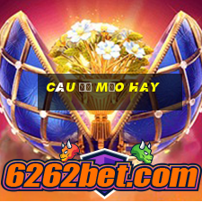 câu đố mẹo hay