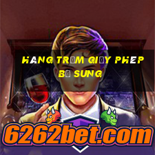 Hàng trăm giấy phép bổ sung