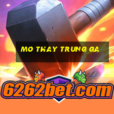 mo thay trung ga