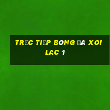 trực tiếp bóng đá xoilac 1