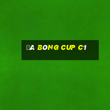 đá bóng cup c1