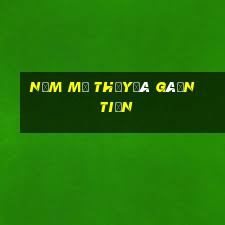 nằm mơ thấy đá gà ăn tiền