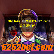 Bo Cat Đăng nhập trực tuyến