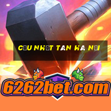 cầu nhật tân hà nội