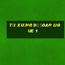 Tải xuống dự đoán Ligue 1