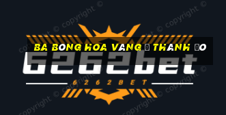 Ba bông hoa vàng ở Thành Đô