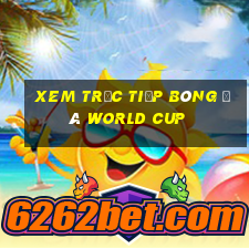 xem trực tiếp bóng đá world cup