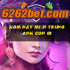 hôm nay miền trung đánh con gì