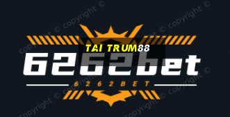 tai trum88