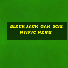 blackjack oak scientific name