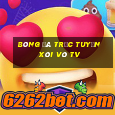 bóng đá trực tuyến xôi vò tv