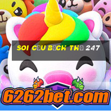 soi cầu bạch thủ 247