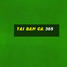 tai ban ca 365