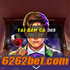 tai ban ca 365