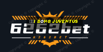 đội bóng juventus