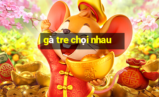 gà tre chọi nhau