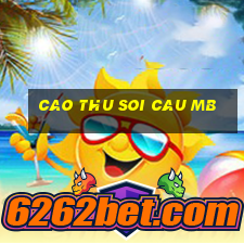 cao thu soi cau mb