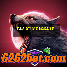 Tài Xỉu Bigchip