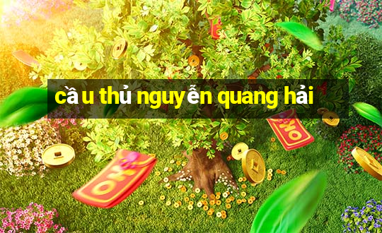 cầu thủ nguyễn quang hải