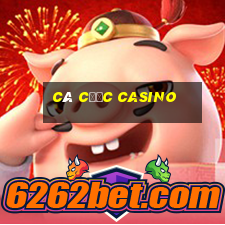 cá cược casino