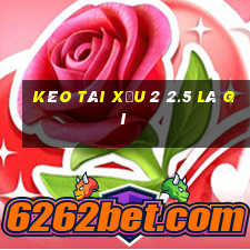 kèo tài xỉu 2 2.5 là gì