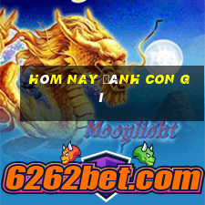 hôm nay đánh con gì