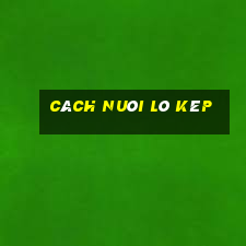 cách nuôi lô kép