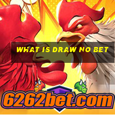 what is draw no bet