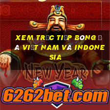 xem trực tiếp bóng đá việt nam và indonesia