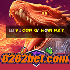 đề về con gì hôm nay