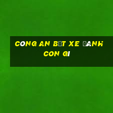 công an bắt xe đánh con gì