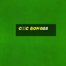 cược bong88