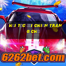 hải tặc đại chiến trang chủ