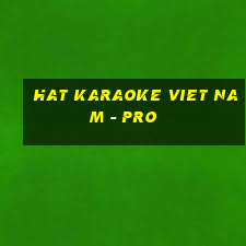 hat karaoke viet nam - pro