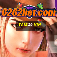 taib29 vin