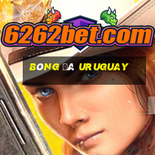 bóng đá uruguay