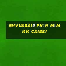 gnVuabai9 Phần mềm kk CAIBEI