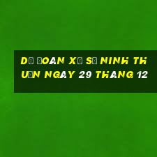 dự đoán xổ số ninh thuận ngày 29 tháng 12